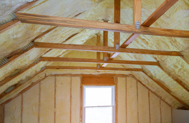 Insulation Inspection Services in Lake City, AR